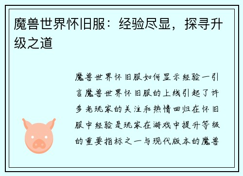 魔兽世界怀旧服：经验尽显，探寻升级之道